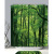 Green Forest Natural Series Digital Printing Shower Curtain Thickened Waterproof Bathroom Curtain Factory Supply Foreign Trade Export