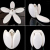 LED Smart Bluetooth Audio Lotus Lamp Folding Lamp Colorful RGBW Dimming Remote Control Lights Sound Quality Jia Gao Liang