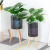 Nordic Iron Flower Stand Indoor Living Room Modern Minimalist Succulent Bonsai Floor Metal Flower Rack