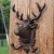 European and American Retro Cast Iron Hook Hat-and-Coat Hook Large Deer Head Double Hook Wall Hanging Decoration Mural Wall Decoration Hook