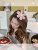 Mori Style Cute Japanese Style Large Flower Clip Headdress Hairpin Female Summer Side Clip Graceful Online Influencer Bang Clip Forehead