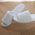 Star Hotel Slippers B & B Hotel Thickened Disposable Home Non-Slip Autumn and Winter Spot Slippers for Guests