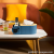 X22-1601 Tissue Box Home Living Room Coffee Table Restaurant Creative Cute Simple Multi-Function Storage Box