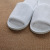 Star Hotel Slippers B & B Hotel Thickened Disposable Home Non-Slip Autumn and Winter Spot Slippers for Guests