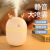 2021 New Cute Pet USB Humidifier Home Mute Aroma Diffuser Bedroom Large Capacity Office Desk Surface Panel Gift