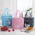 2021 New Wholesale Thermal Bag Factory Direct Sales Lunch Box Bag Cartoon Bento Bag Portable Ice Bag Customizable Printing