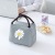 Cross-Border Little Daisy Student Lunch Box Bag Cartoon Aluminum Foil Insulation Bag Picnic Bag Children Lunch Bag Ice Pack