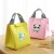 New Insulated Bag Lunch Bag Cartoon Lunch Box Bag Large Picnic Bag Ice Pack Lunch Bag Factory Customized