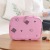 SOURCE Manufacturer Travel Cosmetic Bag Portable Storage Bag Portable Small Lady Mini Cosmetic Case Bag Wash Bag