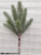 Home Decoration Flower Arrangement Materials Bonsai Pendant 7 Fork Spray Color Podocarpus Macrophyllus 9437#