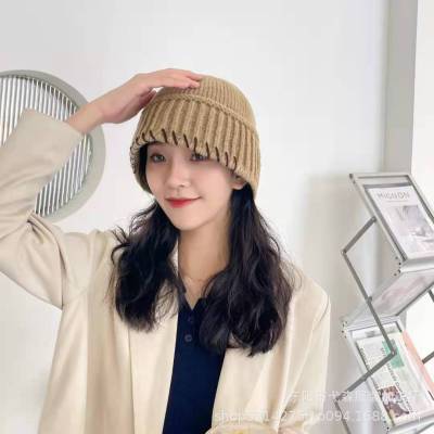 2021 Beanie Hat Bucket Hat Women's Woolen Cap Warm Hat New Imitation Rabbit Fur Knitted Hat in Stock Wholesale Hat Autumn and Winter
