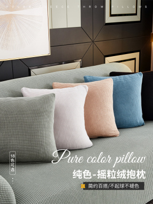 Thickened Living Room Pillow Cover Sofa Cushion Office Lumbar Cushion Cover Bed Head Backrest Cushion Square without Core