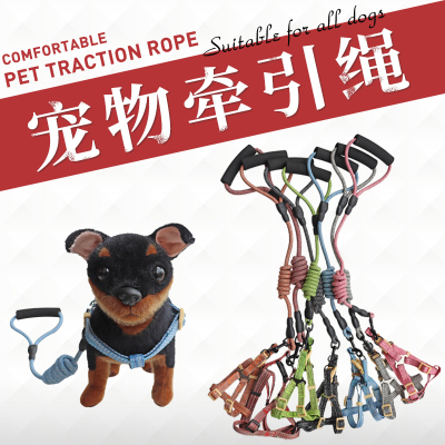 Pet Haulage Rope Package Vest-Style Traction Belt Multi-Color round Rope Nylon Dog Leash Chest Strap Dog Chain