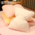 INS Internet Celebrity Cushion Sofa Bow Pillow Bedroom Bay Window Decoration Cute Cushion Bedside Living Room Girl Heart