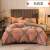 Wholesale New Thickened Milk Fiber Four-Piece Set Winter Flannel Coral Fleece Bed Sheet Quilt Cover Bedding Group Purchase