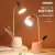 Factory Direct Sales Nordic Style Led Multi-Function Pen Holder Mobile Phone Desk Lamp with Support Bedroom Student Desktop Table Lamp