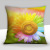 Fashion Simple and Fresh Pastoral Style SUNFLOWER Cushion Pillow Colorful Flowers Blue Sky White Clouds Pillow