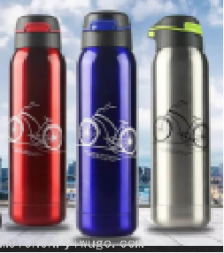Hot Sale Vacuum Stainless Steel Thermos Cup ZY011-350ML-500ML