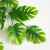 Simulation Wall-Mounted Rattan Simulation Plant Back of Turtle Leaves Wall-Mounted Rattan Rattan Decoration Green Leaves Chlorophytum Vines Fake Green Plant