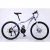 High Quality Fashion Snow Bike/Road Bike Adult Bicycle Spoke Wheel Bike