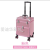 Aidi Huamel Nail Toolbox Phototherapy Machine Tattoo Makeup Beauty Aluminum Alloy Medicine Luggage Storage Trolley Case