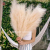 Artificial Pampas Grass Feather Faux Bulrush Reed Fake Phragmites Plant for Wedding Home Vase Decoration