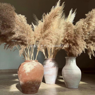 Light color wedding flowers bunch natural dried pampas grass flower beautiful reed christmas home wedding decoration phr