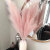 Artificial Pampas Grass Feather Faux Bulrush Reed Fake Phragmites Plant for Wedding Home Vase Decoration