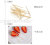 Double-Headed Toothpick Maple Leaf Bottle Family Bamboo Toothpick Plastic Tube Travel Portable Factory Direct Sales