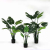 Factory shop simulation plant potted turtle shell home soft decoration green floral flower ornaments