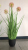 Factory shop simulation plant potted dandelion onion grass home soft decoration green floral flower ornaments