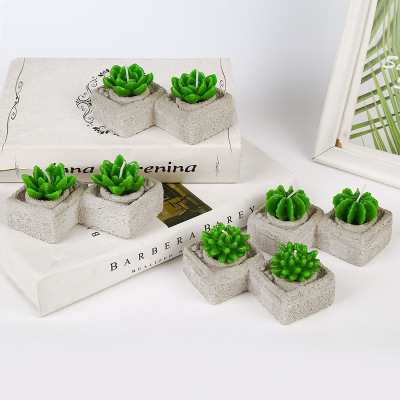 New Cup-Packed Succulent Candle Gift Box Packaging Creative Gift Plant Candles Wholesale
