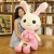 Genuine Skirt Rabbit Doll Plush Toys Little Bunny Doll Pillow Ragdoll Children Girls Gift Items