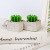 New Cup-Packed Succulent Candle Gift Box Packaging Creative Gift Plant Candles Wholesale