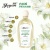 Women's Underwear Decontamination Blood Stain Cleaning Soft Cleaning Lotion Laundry Detergent Household Men's and Women's Lasting Fragrance