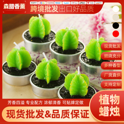 Creative Simulation Plant Potted Succulent Mini Cactus Small Candle Smokeless Candles Home Plant Candles