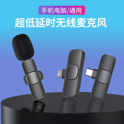 Microphone Internet Celebrity Live Video Shooting Portable HD Receiving Mini Microphone
