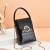 2021 New Mobile Phone Bag New Contrast Color Chain High Sense Shoulder Messenger Bag Mini Small Bag Stall 11838