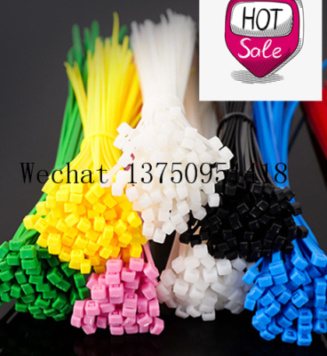Hampool High Quality 2.5*100MM Wholesale Factory Direct Self Locking Hotselling Nylon zip cable tie with label
