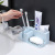 Toilet Toothbrush Rack Punch-Free Tooth Cup Toothbrush Cup Holder Toothbrush Toothpaste Holder Tooth-Cleaners Soap Storage Rack