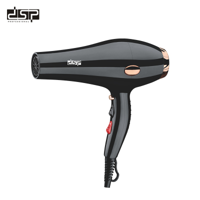 DSP DSP Second Gear Speed Control Second Gear Temperature Control 1000W High Power Household Hair Dryer