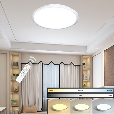 Simple Smart Ceiling Lamp Remote Control Wifi Study Lamp Rgbcw Graffiti App Room Bedroom Light 24W round