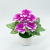 Simulation Peony Flower Creative Artificial Green Plants and Artificial Flowers Potted Home Cafe Desktop Entrance Decoration Bonsai Decoration