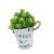 Artificial Plant Water Plants Small Flower Hemp Rope Iron Bucket Potted Home Decoration Fake Floriculture Creative Gift Decoration Wholesale