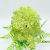 Simulation Horse Mulberry Green Plant Pot European Style Home Decoration Layout Mini Bonsai Desktop Decoration Factory Direct Sales