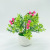 Artificial Plant Artificial Simulation Flower Potted Home Decorative Fake Flower Fresh Creative Decoration Factory Wholesale