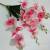 Artificial Flower 5-Fork Dyed Phalaenopsis 20-Head Artificial Bouquet Artificial Plant Fake Flower Silk Flower Factory Direct Supply