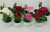 Flower Artificial Plant Bonsai Simulation Chinese Rose Flannel European Rose Wedding Bride Hand Holding Fake Flower Home