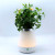 Exclusive for Cross-Border Led Small Night Lamp Usb Charging Flower Pot Vase Lamp Bedroom Small Night Lamp Cafe Ambience Light
