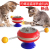 Spoon Ball Cat Toy Pet Toy